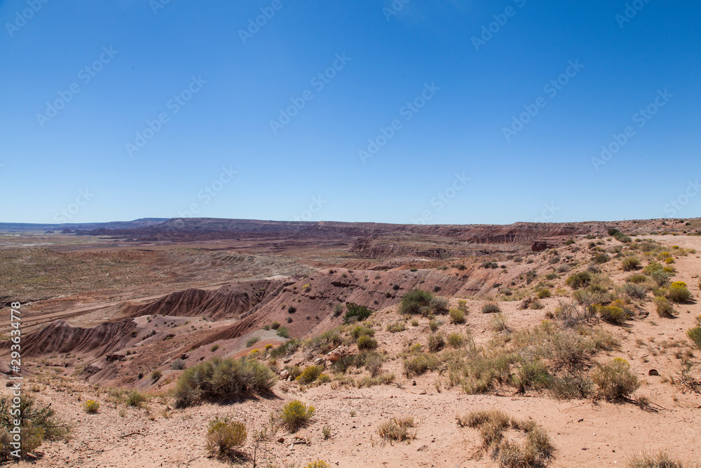 paisaje del desierto de Arizona paisaje del desierto de Arizona
