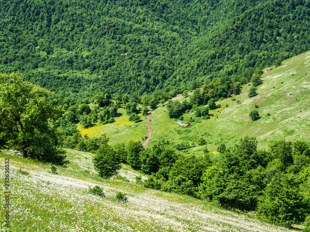 Green hillsides of South Caucasus mountains in summer
