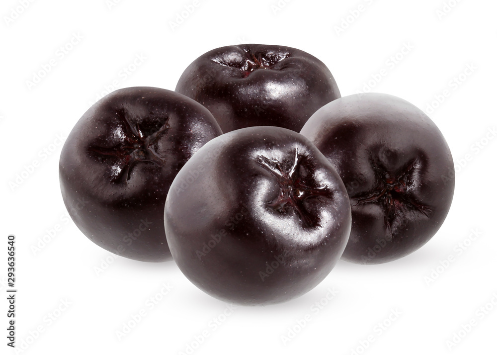 black chokeberry isolated on white black chokeberry isolated on white