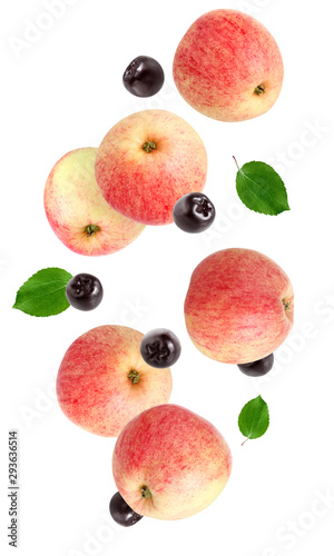 Fototapeta Naklejka Na Ścianę i Meble -  flying apples and black chokeberry isolated on white background.