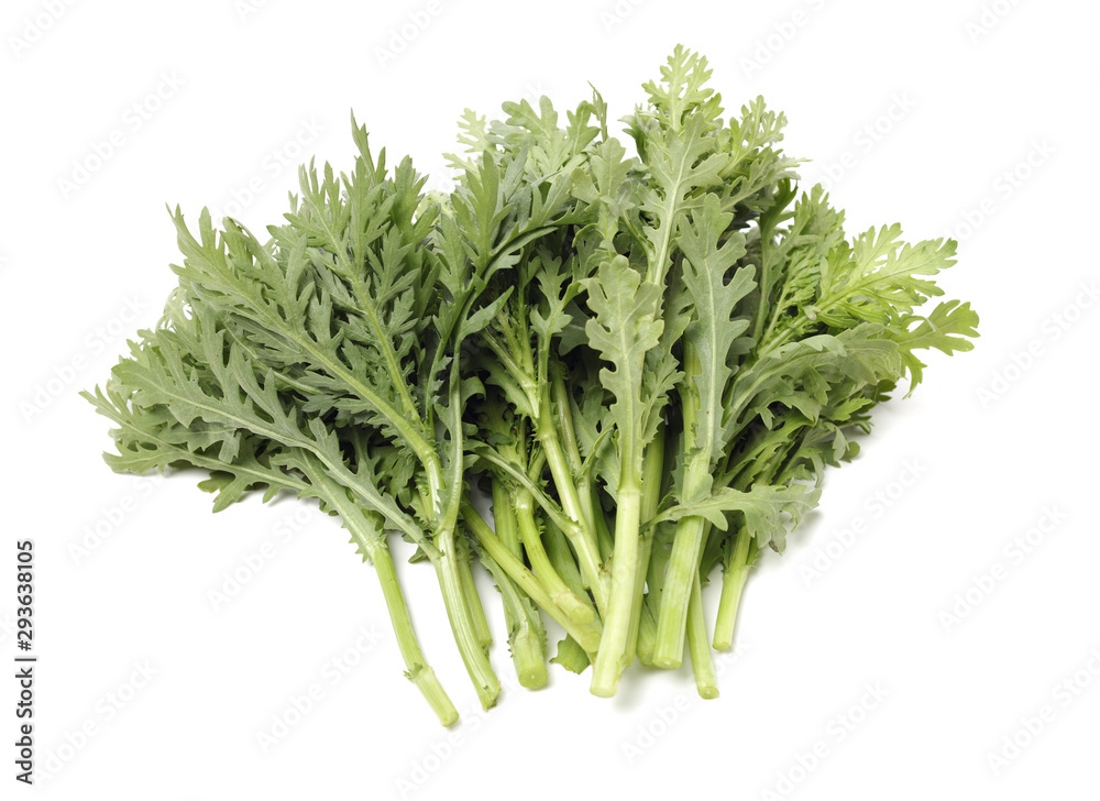 Shungiku, also known as tong hao, or edible chrysanthemum, Isolated on white. A leaf herb commonly used in asian food Shungiku, also known as tong hao, or edible chrysanthemum, Isolated on white. A leaf herb commonly used in asian food