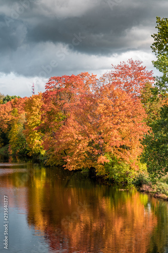 Colorful autumn trees in Latvia.