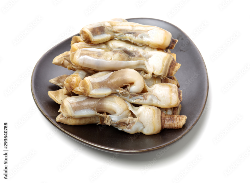 Razor clams isolated on white background. Razor clams isolated on white background.