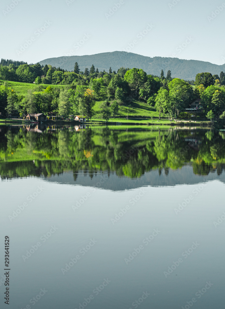 Reflections on the Bayersoiener lake