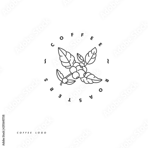 Vector line icon of coffee tree branch. Coffee plant linear logo.