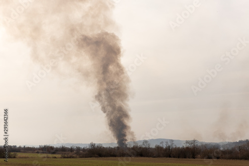 smoke with trees in romania