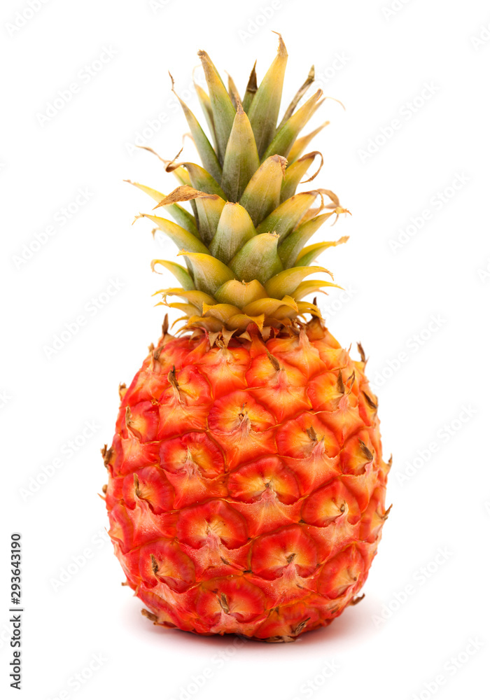 pineapple from El Hierro island pineapple from El Hierro island