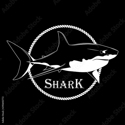 vector illustration of shark and fish