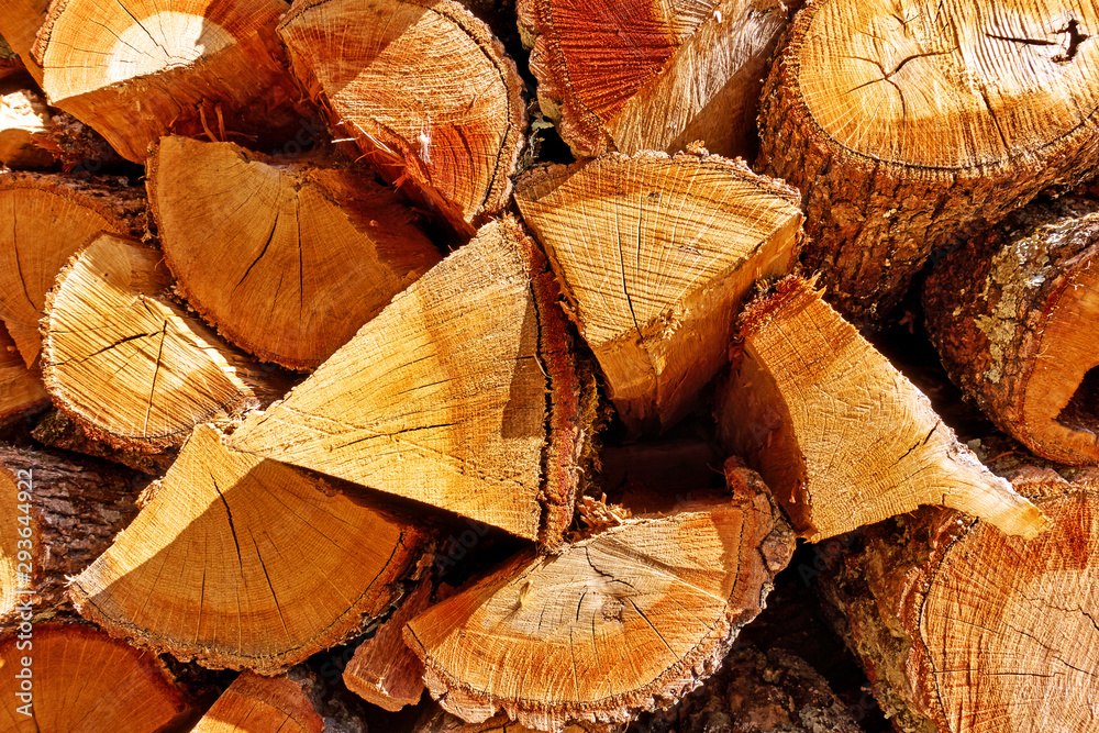 Firewood - butt-ends of chopped wood logs Firewood - butt-ends of chopped wood logs