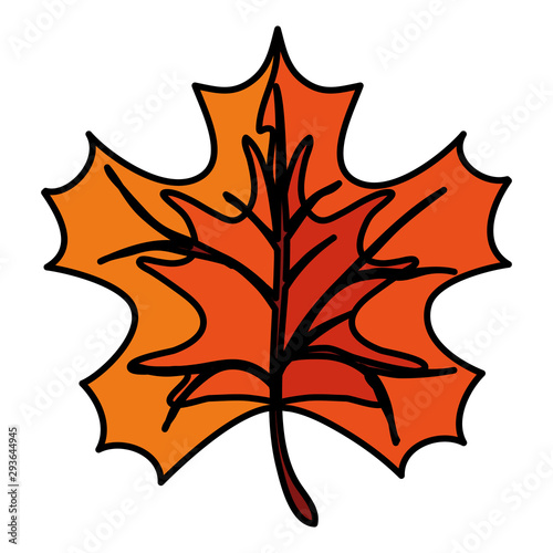 Autumn leaf vector design icon