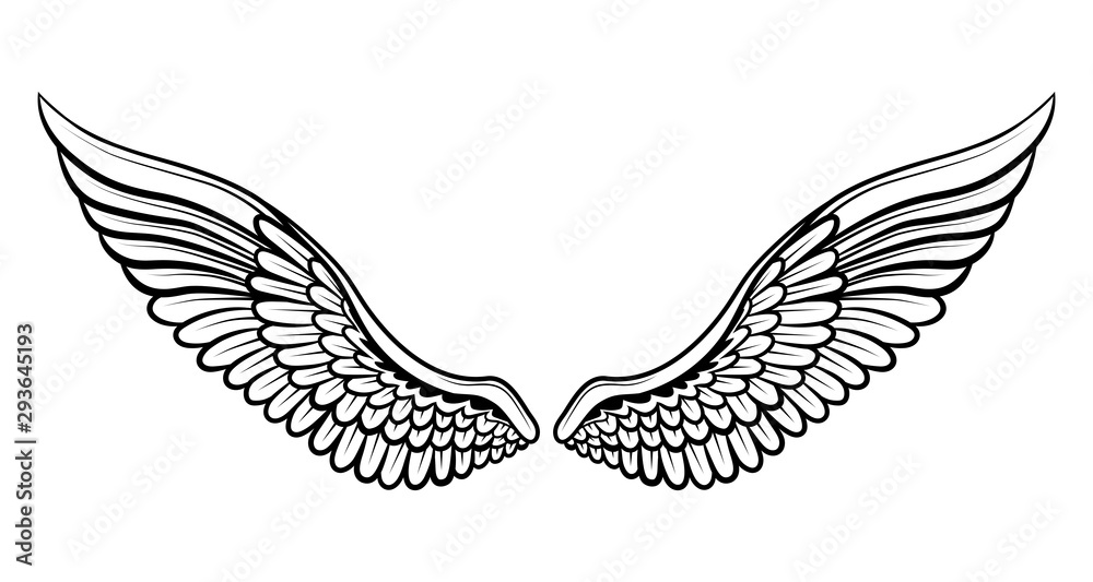 Obraz premium set of wings