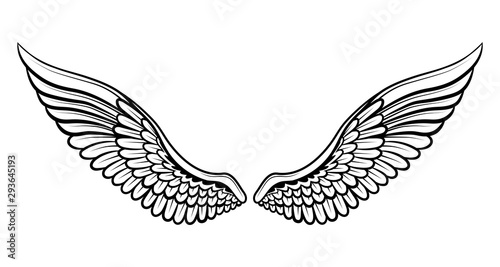 set of wings