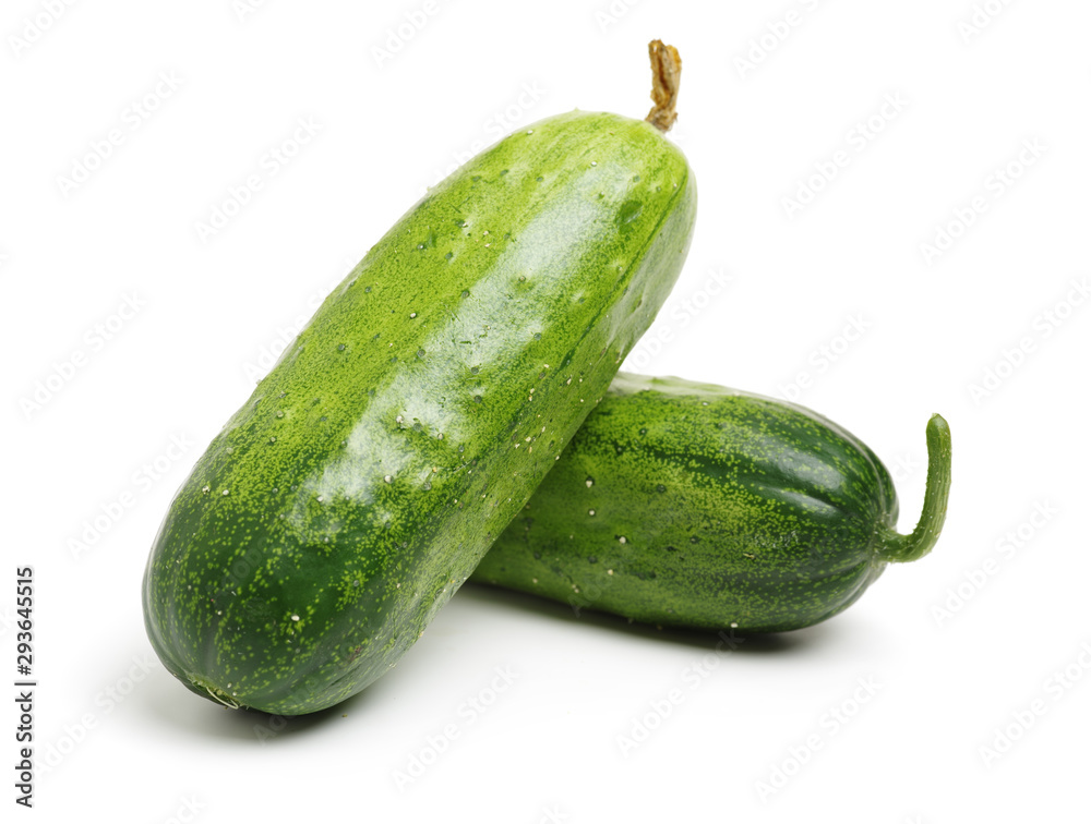Green cucumber on the white background Green cucumber on the white background