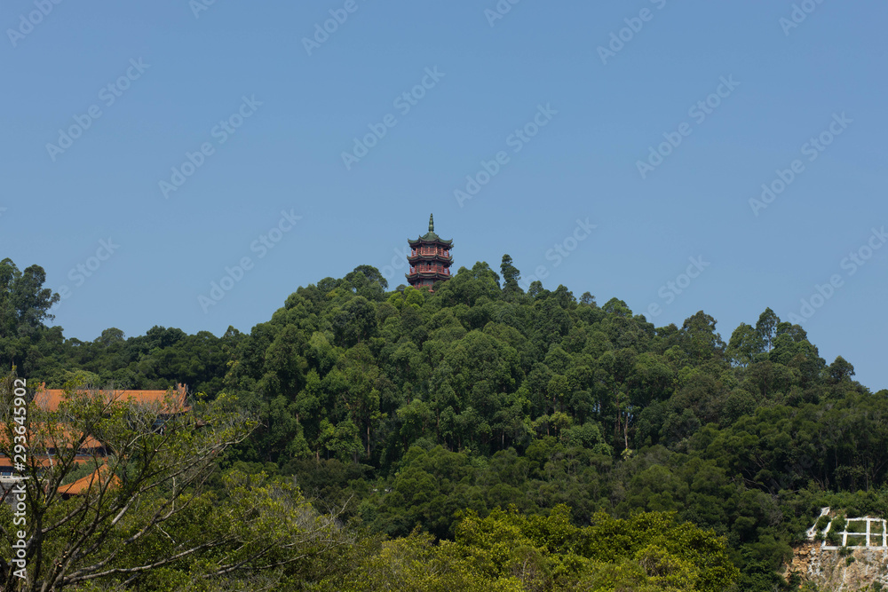 The top of the Chinese pagoda can be seen from the trees