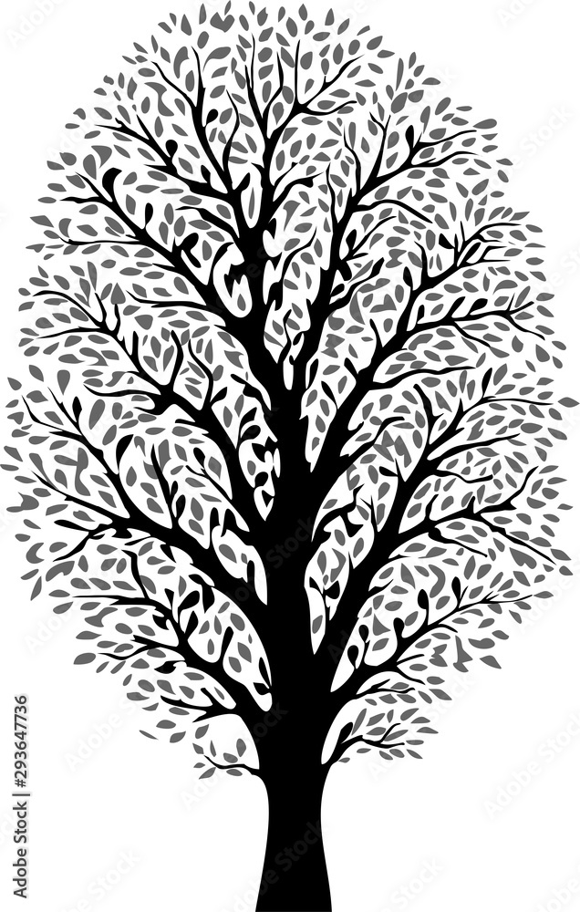 Obraz premium Tree illustration