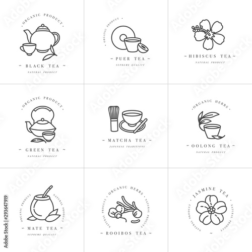 Vector set design monochrome templates logo and emblems - organic herbs and teas . Different teas icon. Logos in trendy linear style isolated on white background.