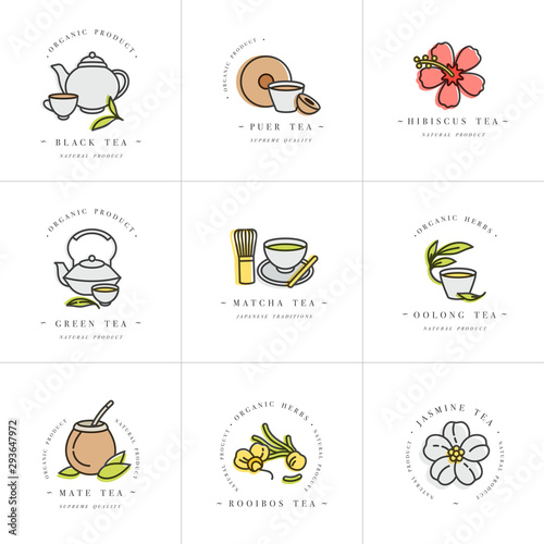 Vector set design colorful templates logo and emblems - organic herbs and teas . Different teas icon. Logos in trendy linear style isolated on white background.