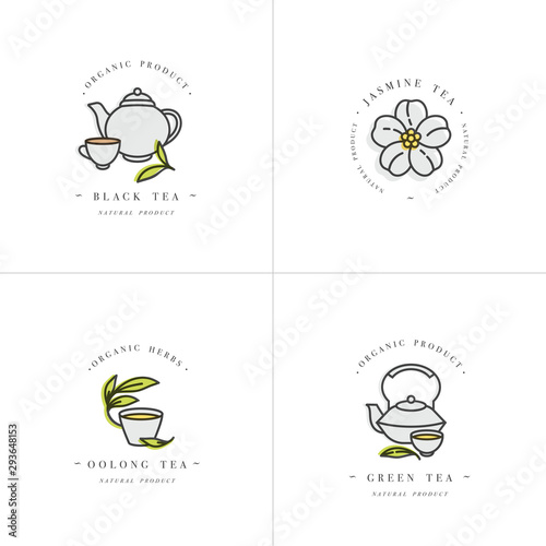 Vector set design colorful templates logo and emblems - organic herbs and teas . Different teas icon- jasmine, black, green and oolong . Logos in trendy linear style isolated on white background.