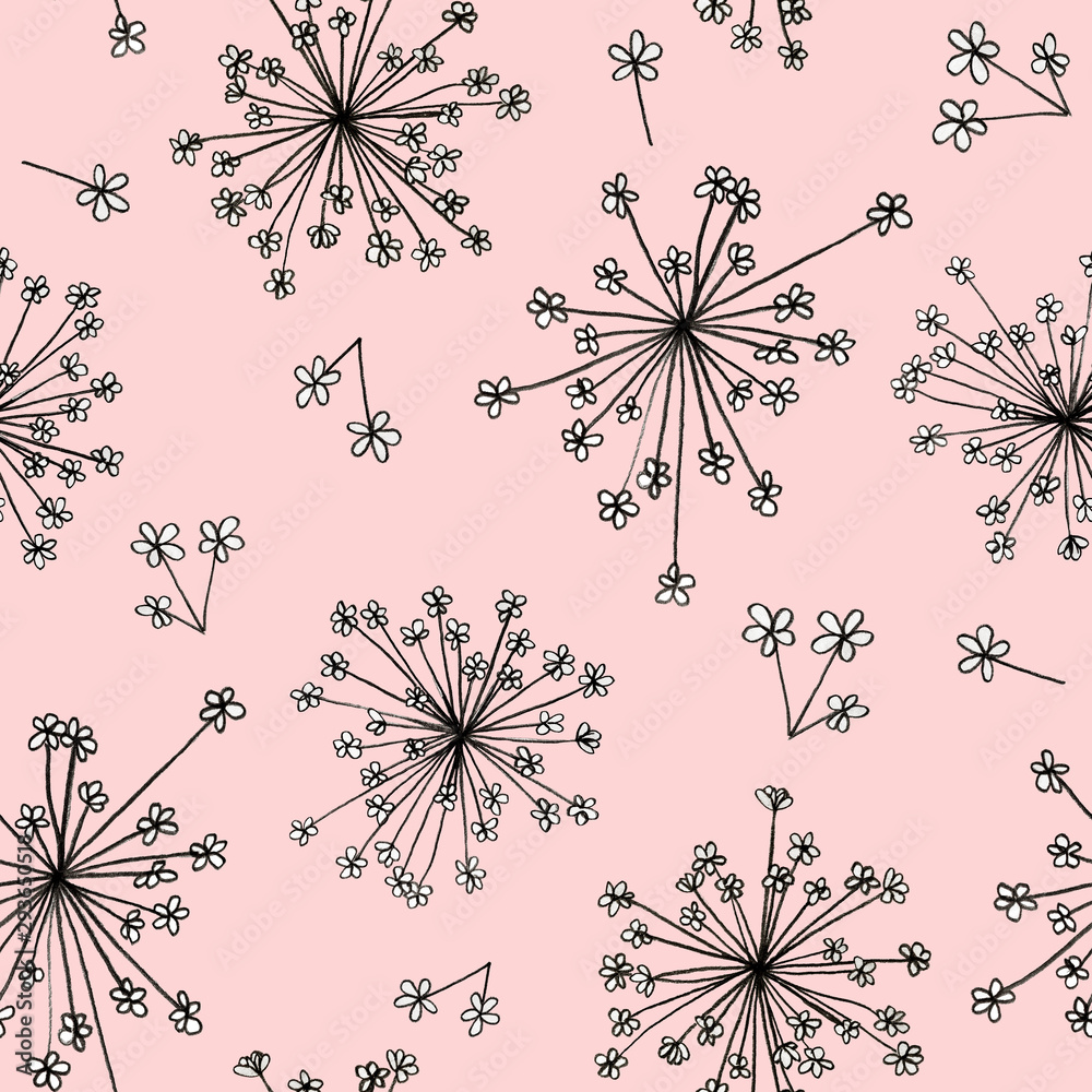 Obraz premium Ammi Majus little flowers graphic hand drawn - seamless pattern on pink background