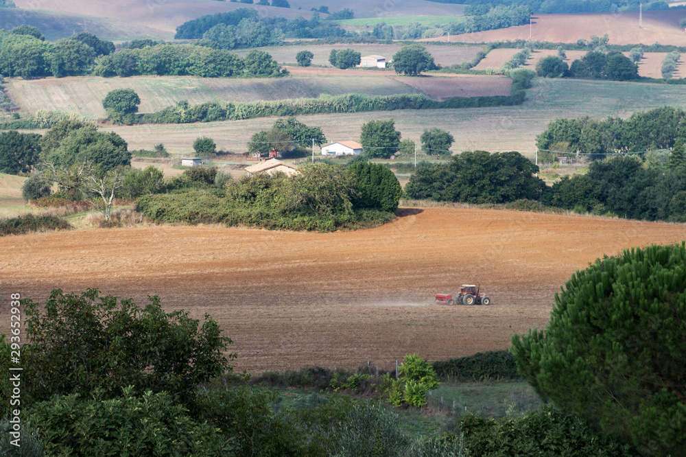 Obraz premium campagna