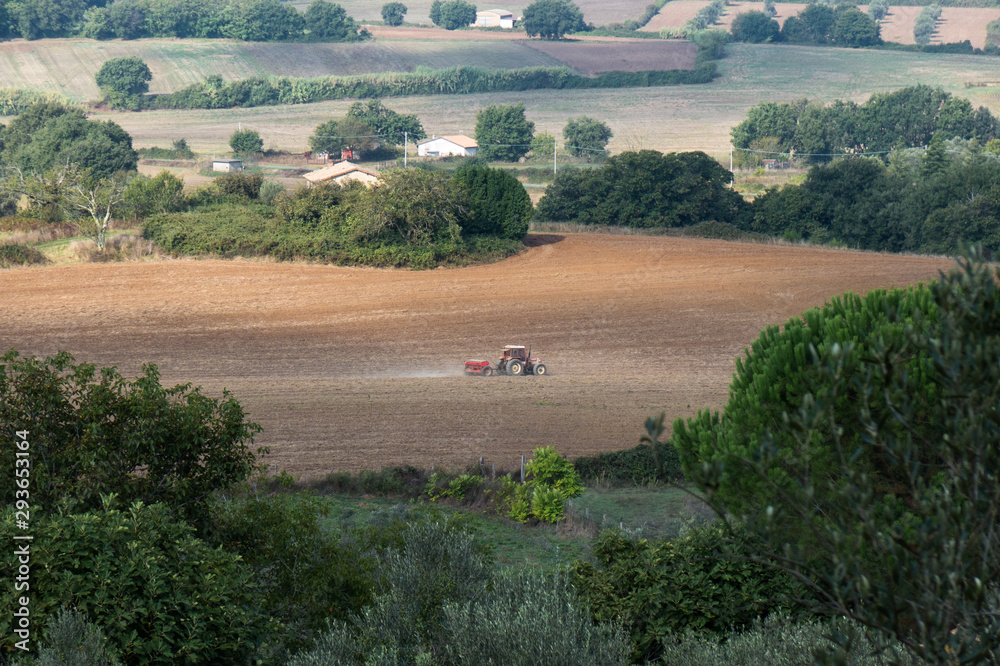 Obraz premium campagna