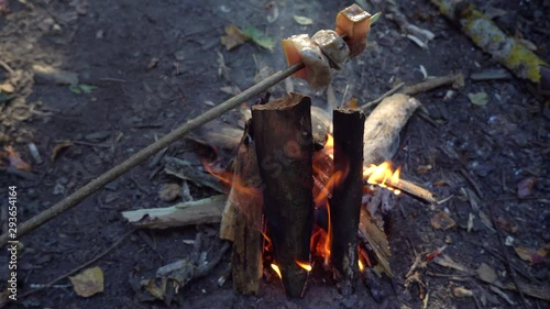 Wallpaper Mural A woman fries lard on a skewer on a bonfire in the forest on a sunny day. Torontodigital.ca