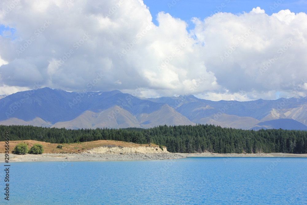 lake pukaki on a sunny day with a fir forest in the background
