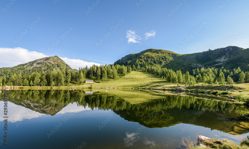 Mountains and forest in lake reflection. Beautiful landscape.
