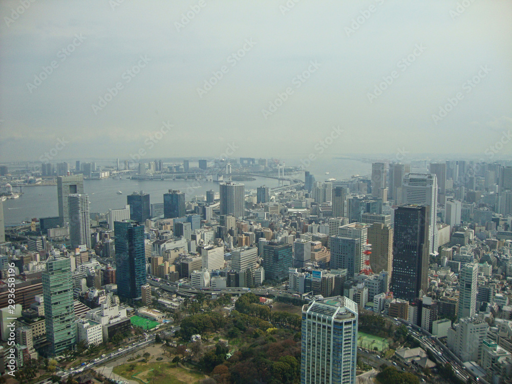 view to to tokyo city from the skyscraper