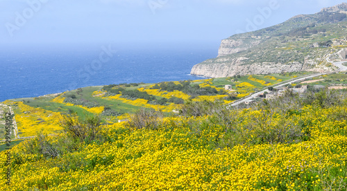 Mediterranean coastline  cliffs around Malta and Gozo.