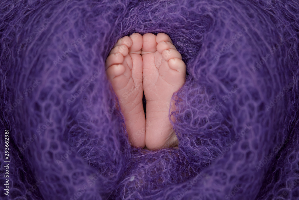 Fototapeta premium newborn's small legs in a warm bedspread