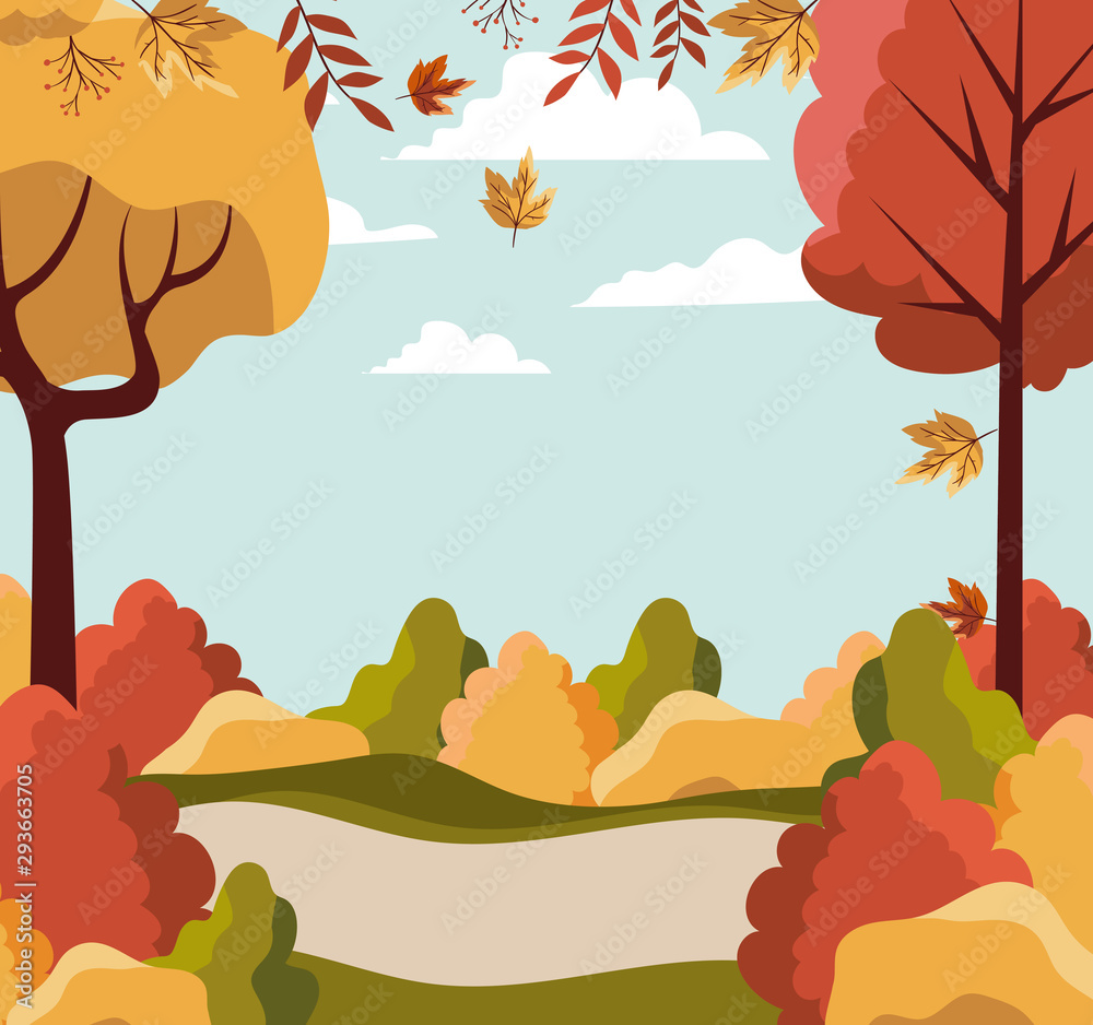 seasonal forest autumn landscape scene