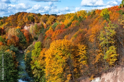 autumn landscape with trees and blue sky