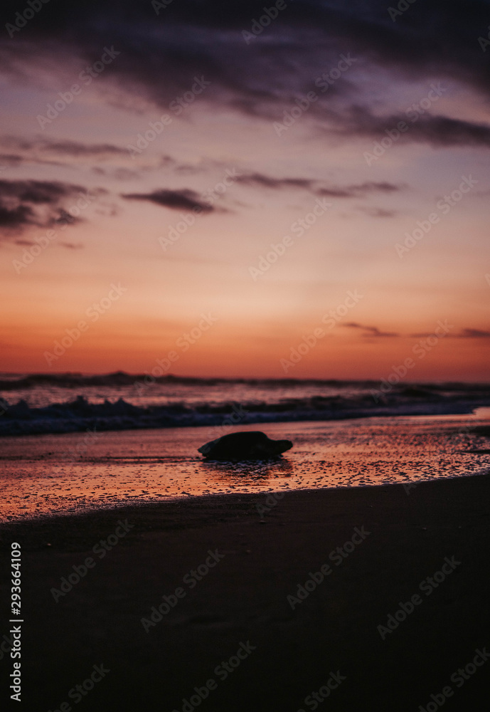 Tortuga Sunset Tortuga Sunset
