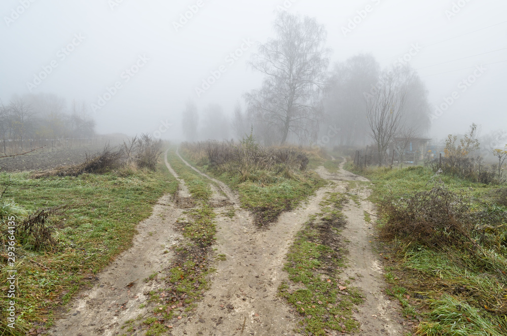 Foggy morning in autumn . Foggy morning in autumn .