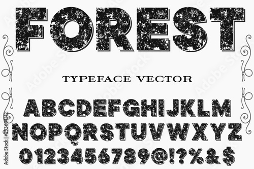 abc Font alphabet Script Typeface handcrafted handwritten vector label design old style forest