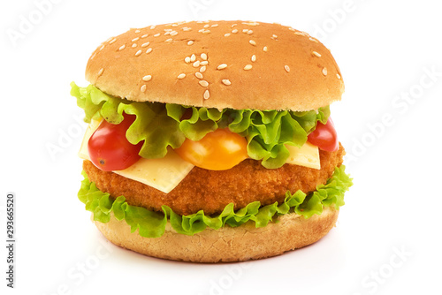 Fresh tasty burger  american hamburger  fastfood  isolated on white background