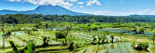 Bali Candidasa Rice Terraces field Indonesia panorama