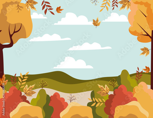 seasonal forest autumn landscape scene