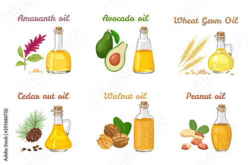 Set of vegetable oils in different glass bottles isolated on a white background. Wheat Germ Oil, Amaranth, Avocado, Cedar nut oil, Walnut and Peanut. Vector illustration of food in cartoon flat style.