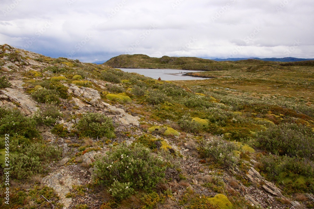 Landschaft in Patagonien in Lapataia Bucht in Feuerland