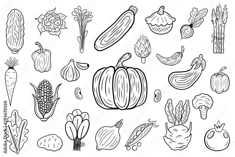 Big collection of vegetables elements. Hand drawn sketch isolated on a white. Vintage vector engraving illustration for poster, web. Big collection of vegetables elements. Hand drawn sketch isolated on a white. Vintage vector engraving illustration for poster, web.
