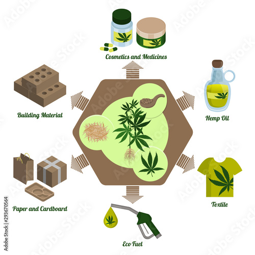 Hemp plant, cannabis leaf and hemp processing products. Processing. Infographics