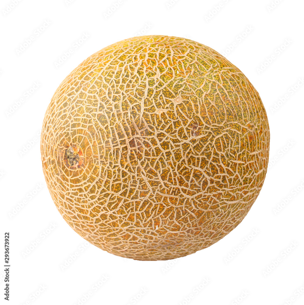 round melon on a white background round melon on a white background