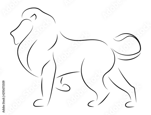 Black line lion on white background