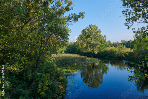 Beautiful small lake in the forest against blue sky. Amazing landscape with water  trees and other vegetation. Reflection in the pond. Place for holidays.