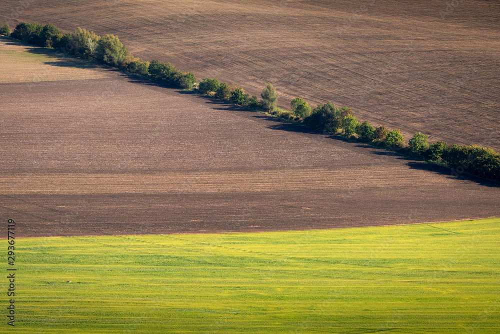 Green and yellow fields from above aerial view, Ceske Stredohori, Czechia