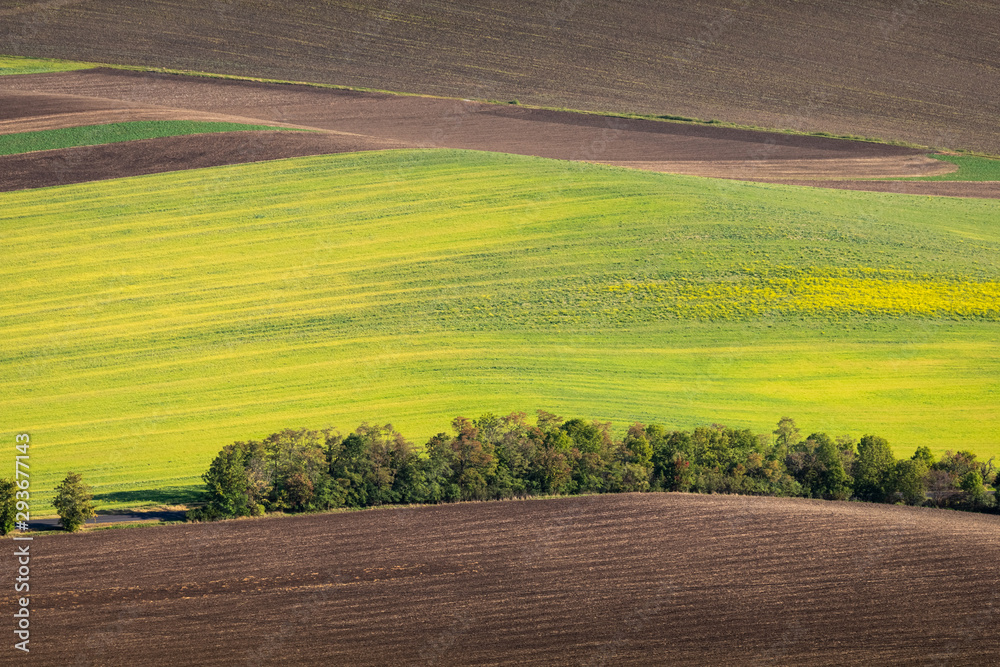 Green and yellow fields from above aerial view, Ceske Stredohori, Czechia