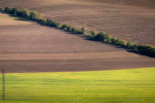 Obraz na płótnie Green and yellow fields from above aerial view, Ceske Stredohori, Czechia w salonie