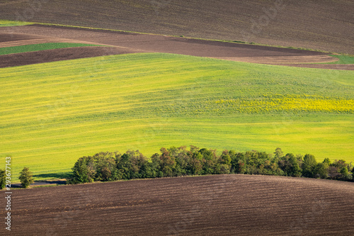 Obraz na płótnie Green and yellow fields from above aerial view, Ceske Stredohori, Czechia w salonie